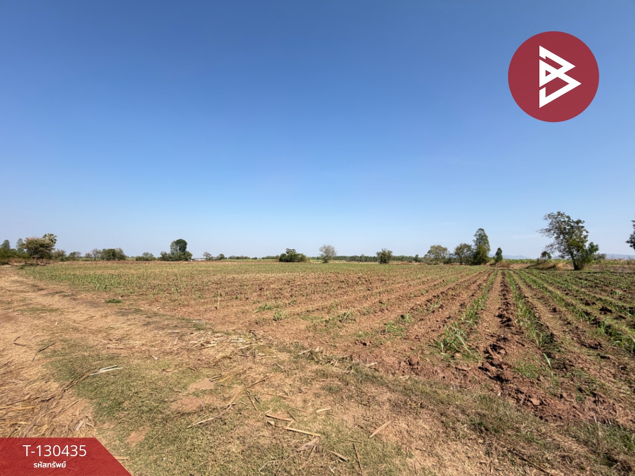 ขายที่ดินแปลงสวย เนื้อที่ 9 ไร่ 1 งาน 6 ตารางวา อ.ตาคลี นครสวรรค์ บรรยากาศธรรมชาติ 6