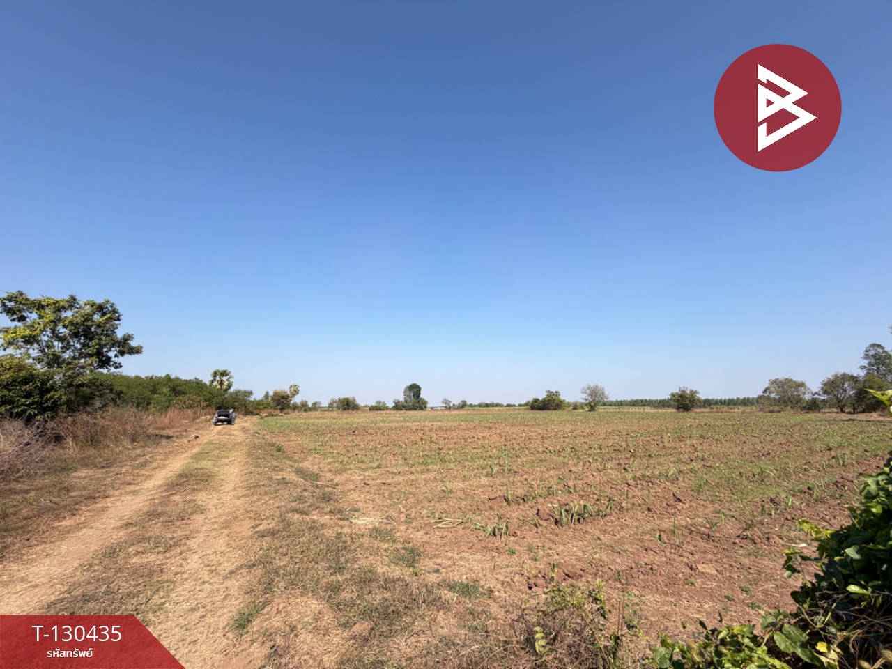 ขายที่ดินแปลงสวย เนื้อที่ 9 ไร่ 1 งาน 6 ตารางวา อ.ตาคลี นครสวรรค์ บรรยากาศธรรมชาติ 8