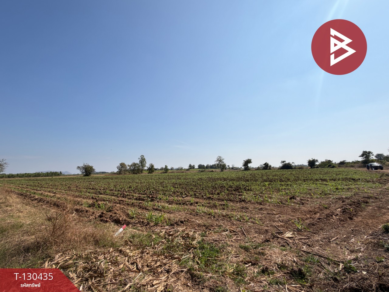 ขายที่ดินแปลงสวย เนื้อที่ 9 ไร่ 1 งาน 6 ตารางวา อ.ตาคลี นครสวรรค์ บรรยากาศธรรมชาติ 3