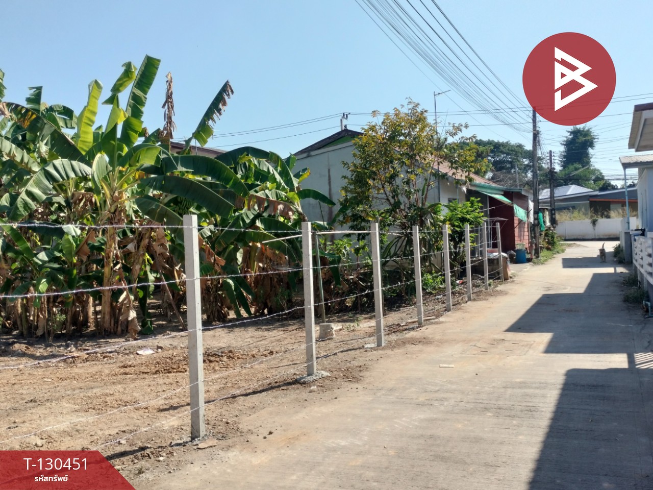 ขายที่ดินแปลงสวย เนื้อที่ 242.3 ตารางวา ใกล้ตัวเมืองพิษณุโลก 13