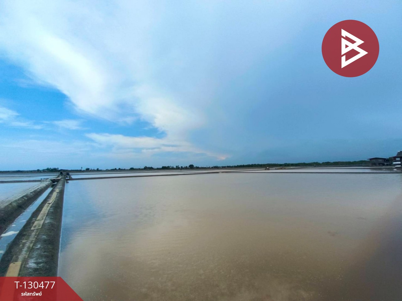 ขายที่ดิน เนื้อที่ 31 ไร่ 3 งาน 62 ตร.วา บางแก้ว สมุทรสงคราม 6