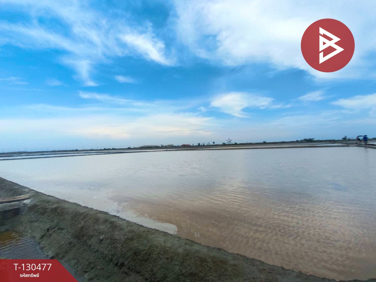 ขายที่ดิน เนื้อที่ 31 ไร่ 3 งาน 62 ตร.วา บางแก้ว สมุทรสงคราม 11
