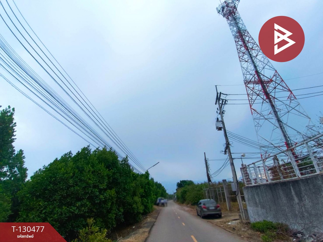 ขายที่ดิน เนื้อที่ 31 ไร่ 3 งาน 62 ตร.วา บางแก้ว สมุทรสงคราม 5