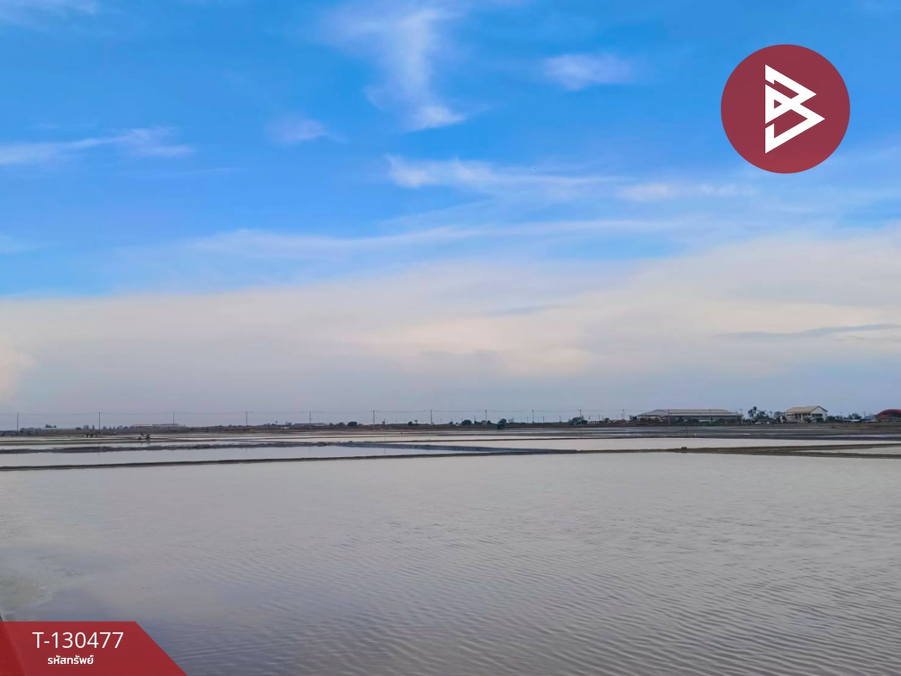 ขายที่ดิน เนื้อที่ 31 ไร่ 3 งาน 62 ตร.วา บางแก้ว สมุทรสงคราม 8