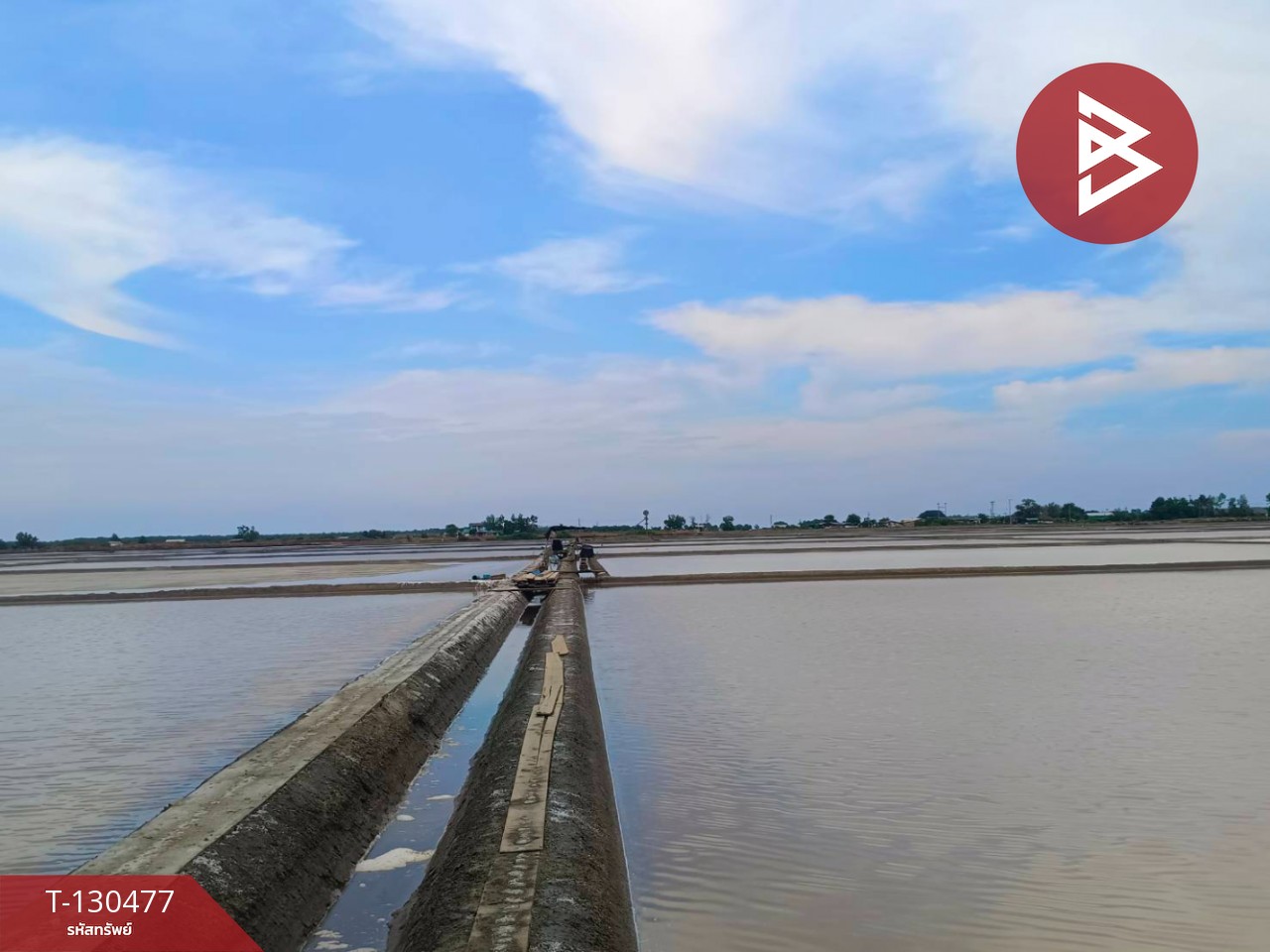 ขายที่ดิน เนื้อที่ 31 ไร่ 3 งาน 62 ตร.วา บางแก้ว สมุทรสงคราม 7