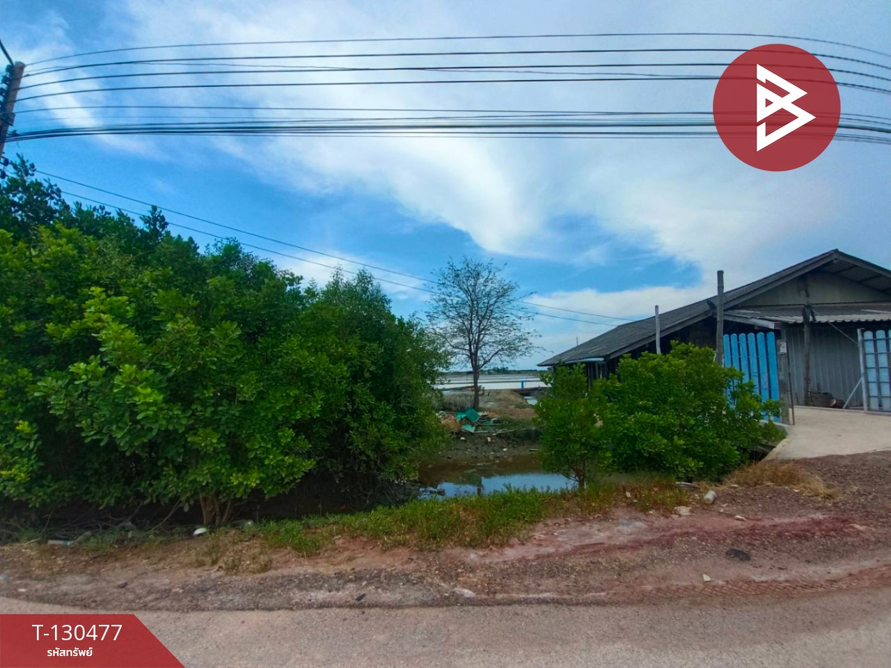 ขายที่ดิน เนื้อที่ 31 ไร่ 3 งาน 62 ตร.วา บางแก้ว สมุทรสงคราม 3