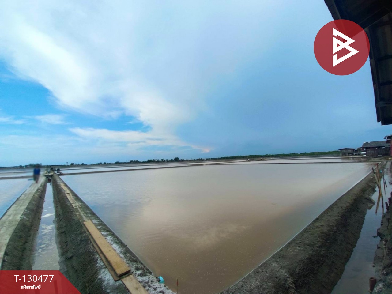 ขายที่ดิน เนื้อที่ 31 ไร่ 3 งาน 62 ตร.วา บางแก้ว สมุทรสงคราม 10