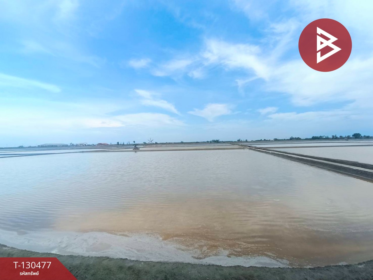 ขายที่ดิน เนื้อที่ 31 ไร่ 3 งาน 62 ตร.วา บางแก้ว สมุทรสงคราม 9