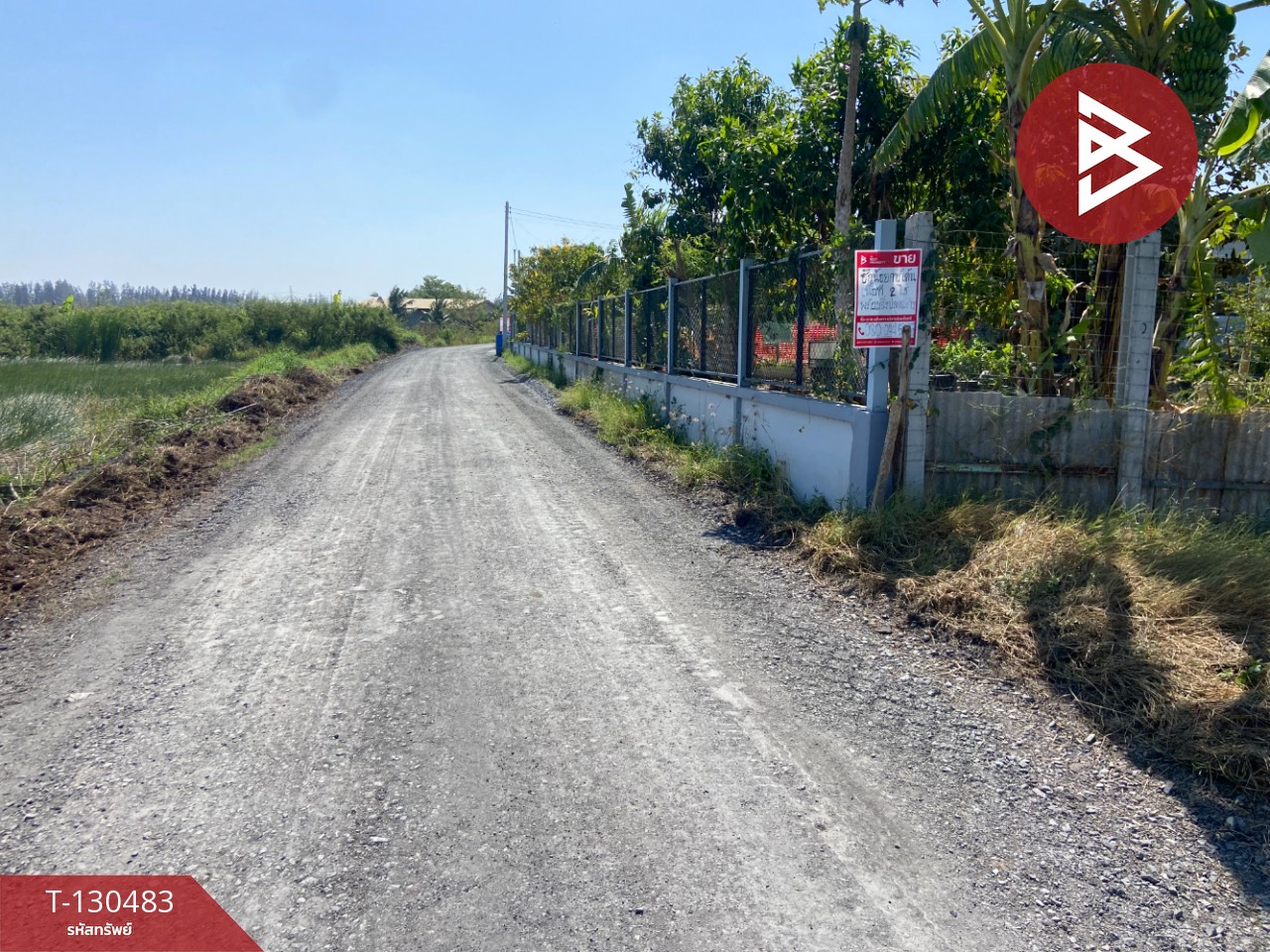 ขายที่ดินพร้อมสิ่งปลูกสร้าง เนื้อที่ 2 ไร่ บางปะอิน พระนครศรีอยุธยา 2