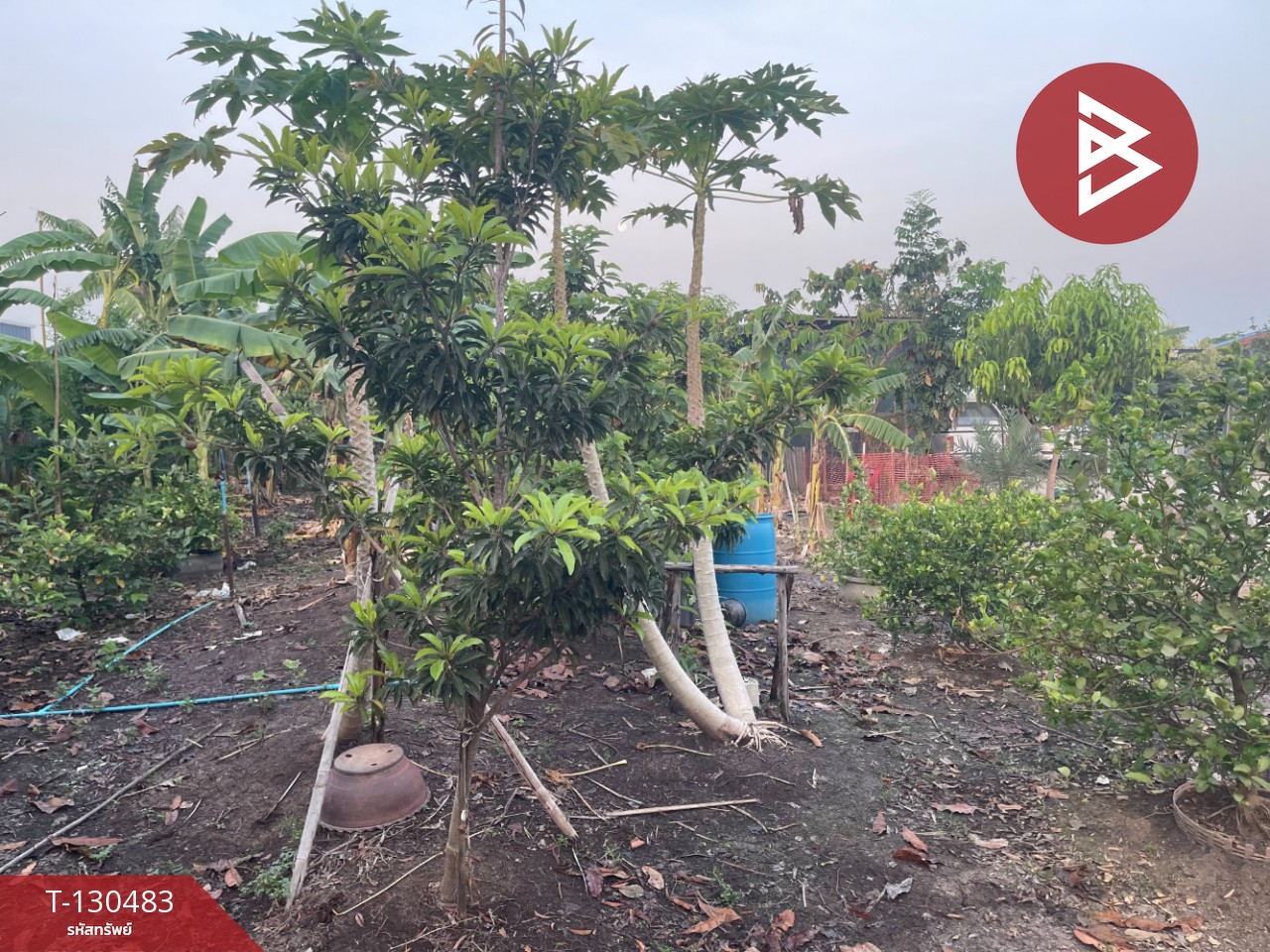 ขายที่ดินพร้อมสิ่งปลูกสร้าง เนื้อที่ 2 ไร่ บางปะอิน พระนครศรีอยุธยา 14