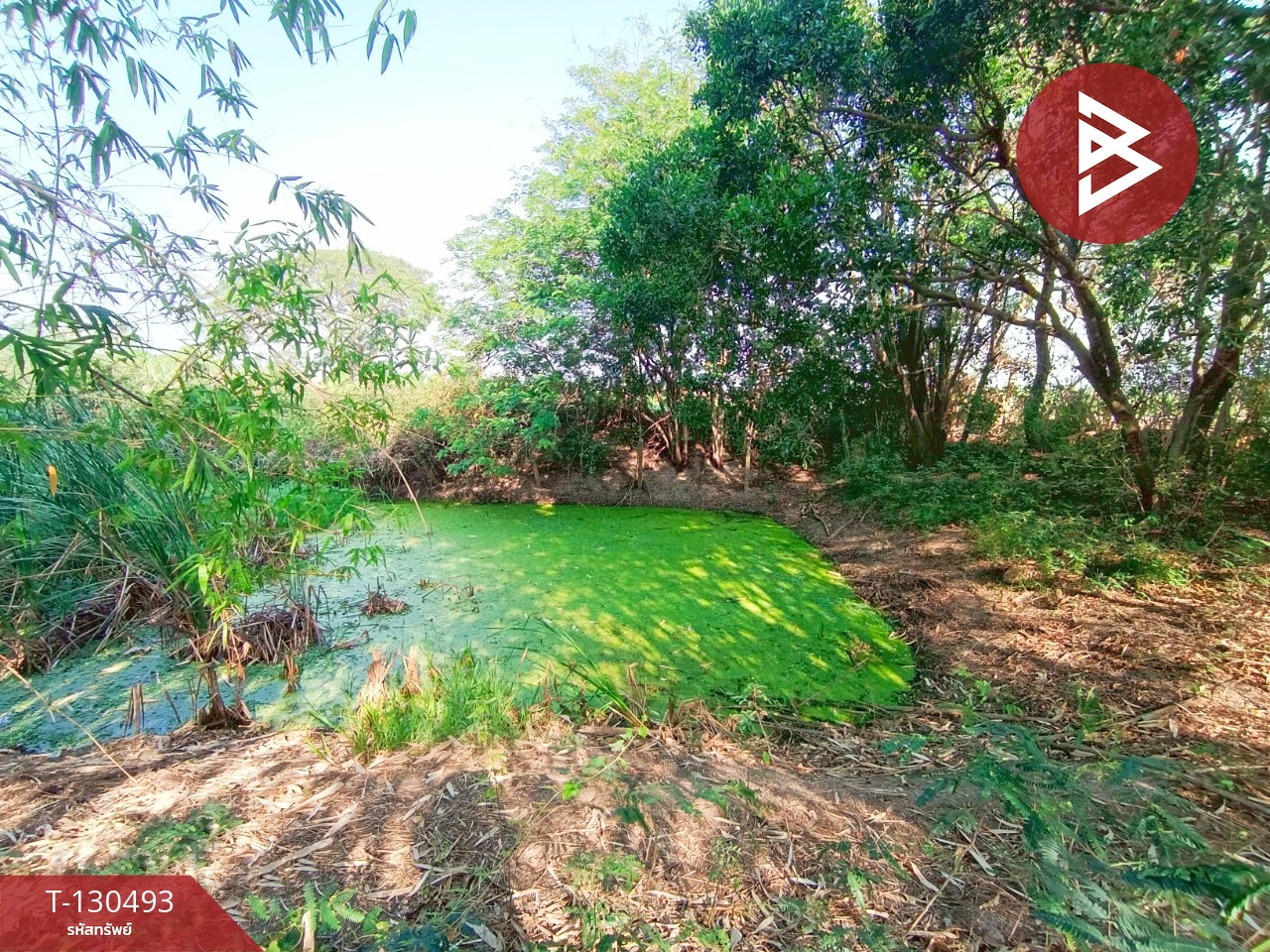 ขายที่ดินพร้อมสิ่งปลูกสร้าง เนื้อที่ 8 ไร่ 1 งาน 15 ตารางวา วัดบ้านปูน มหาราช พระนครศรีอยุธยา 4