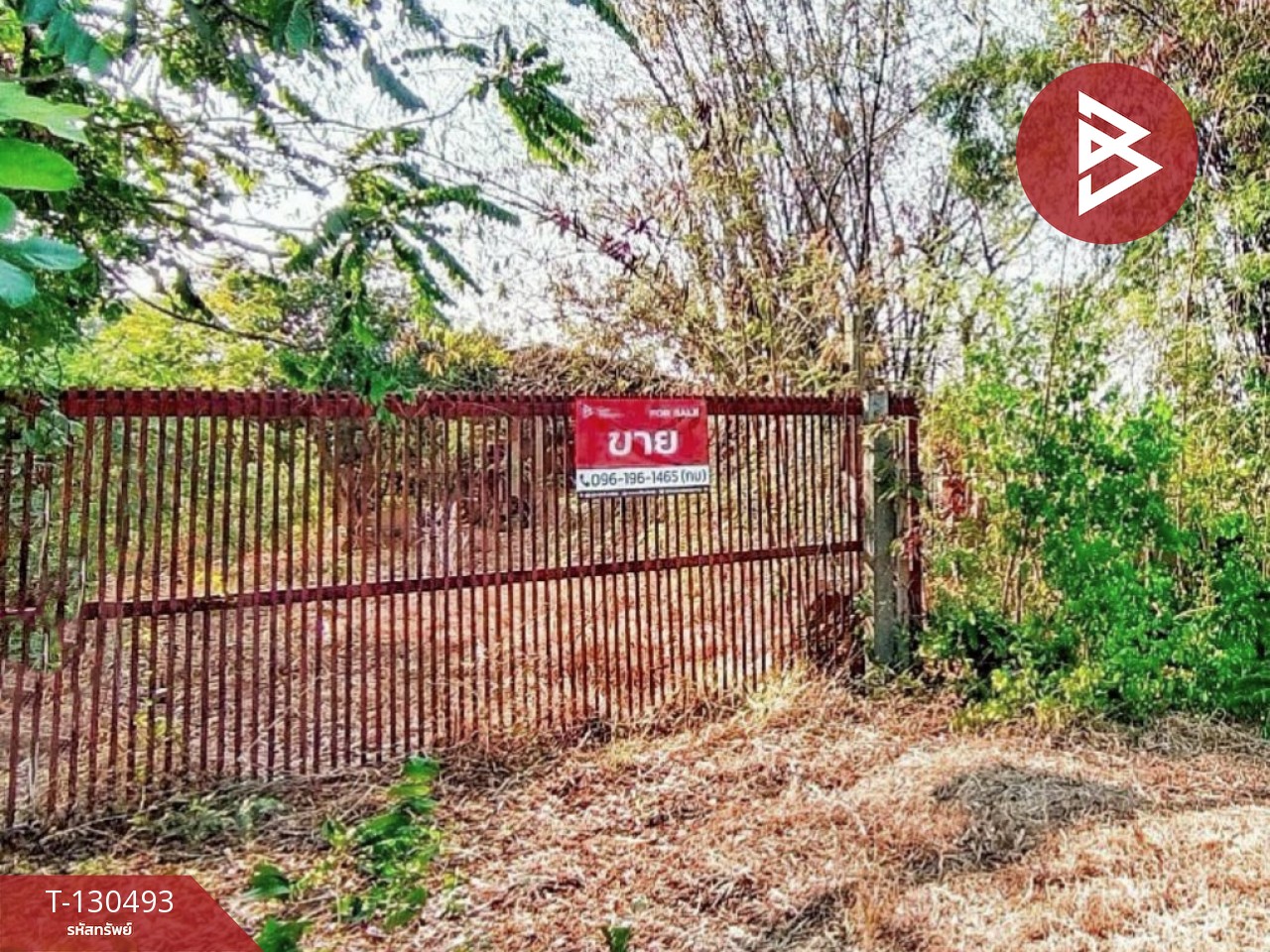 ขายที่ดินพร้อมสิ่งปลูกสร้าง เนื้อที่ 8 ไร่ 1 งาน 15 ตารางวา วัดบ้านปูน มหาราช พระนครศรีอยุธยา 2