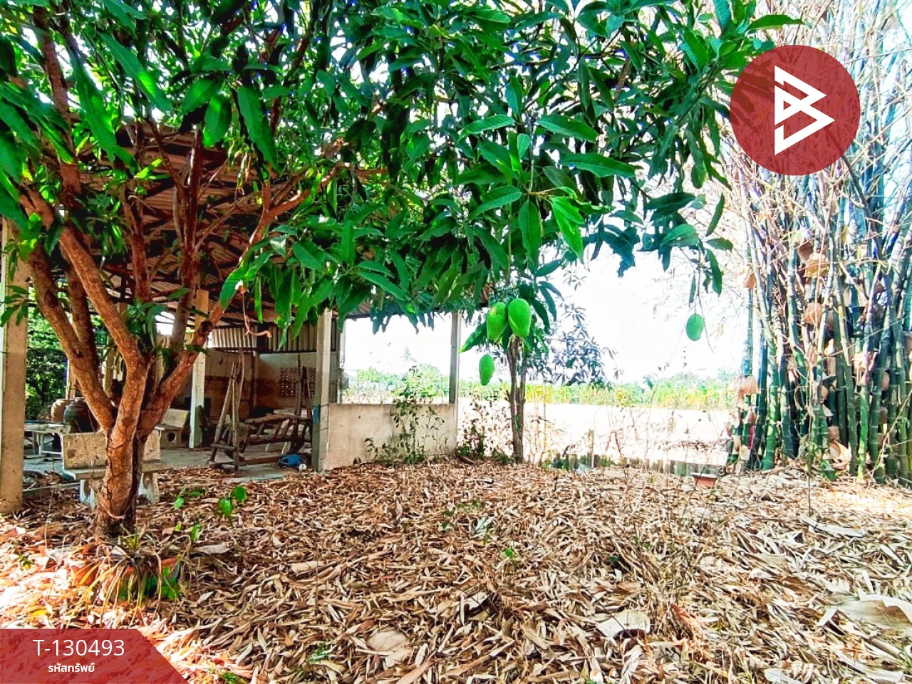 ขายที่ดินพร้อมสิ่งปลูกสร้าง เนื้อที่ 8 ไร่ 1 งาน 15 ตารางวา วัดบ้านปูน มหาราช พระนครศรีอยุธยา 3