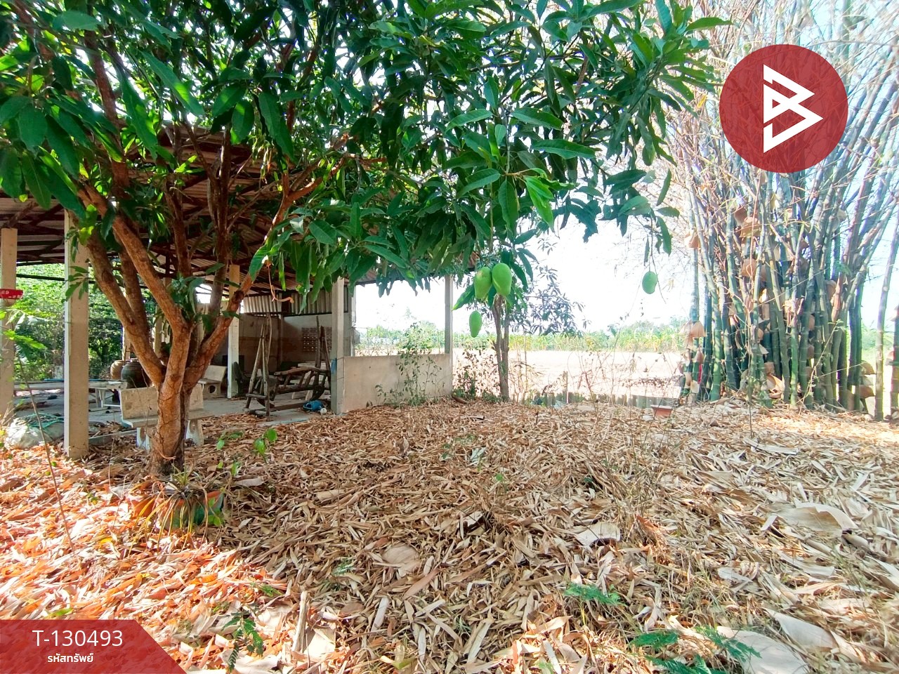 ขายที่ดินพร้อมสิ่งปลูกสร้าง เนื้อที่ 8 ไร่ 1 งาน 15 ตารางวา วัดบ้านปูน มหาราช พระนครศรีอยุธยา 10