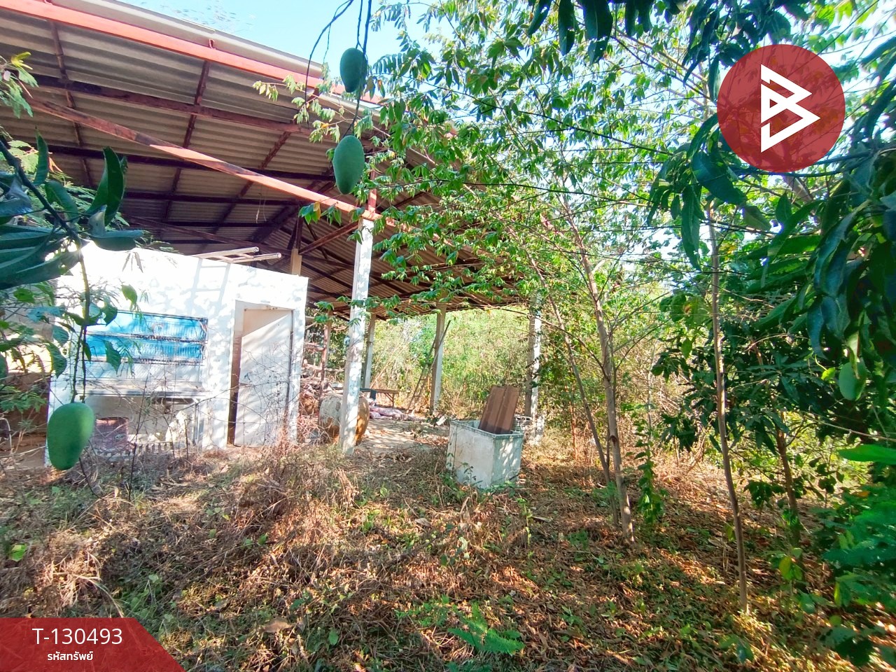 ขายที่ดินพร้อมสิ่งปลูกสร้าง เนื้อที่ 8 ไร่ 1 งาน 15 ตารางวา วัดบ้านปูน มหาราช พระนครศรีอยุธยา 9