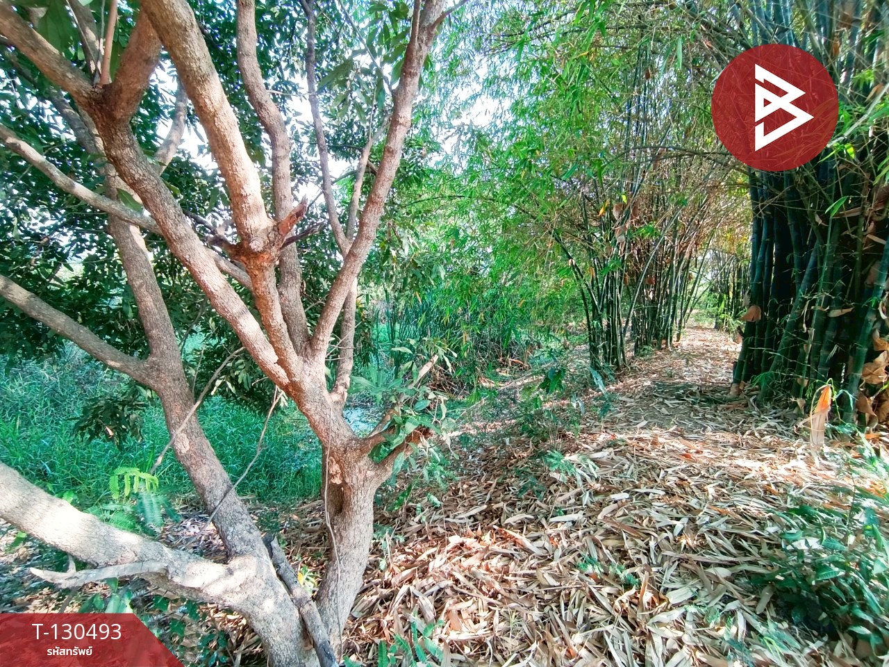 ขายที่ดินพร้อมสิ่งปลูกสร้าง เนื้อที่ 8 ไร่ 1 งาน 15 ตารางวา วัดบ้านปูน มหาราช พระนครศรีอยุธยา 6