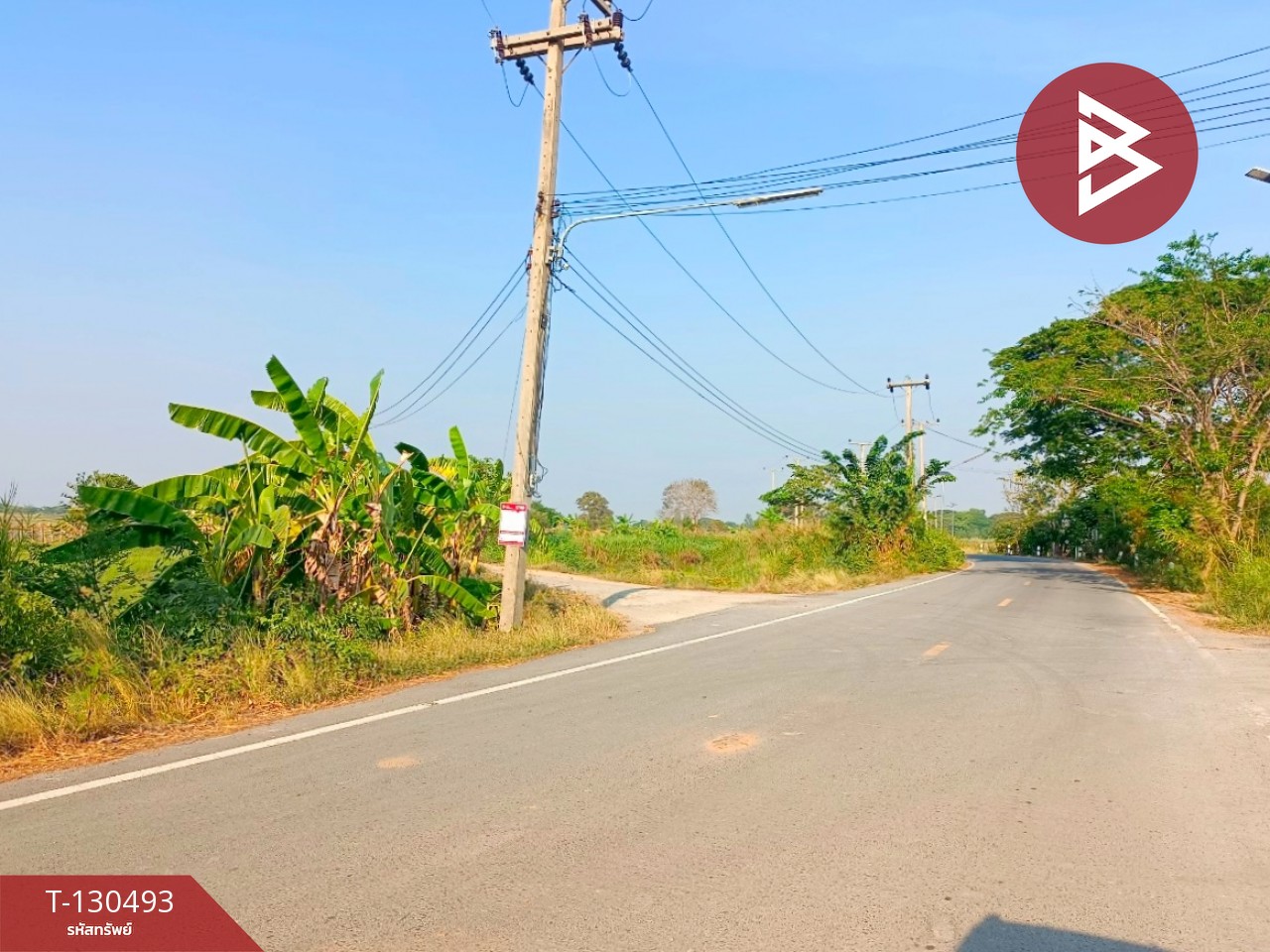 ขายที่ดินพร้อมสิ่งปลูกสร้าง เนื้อที่ 8 ไร่ 1 งาน 15 ตารางวา วัดบ้านปูน มหาราช พระนครศรีอยุธยา 14