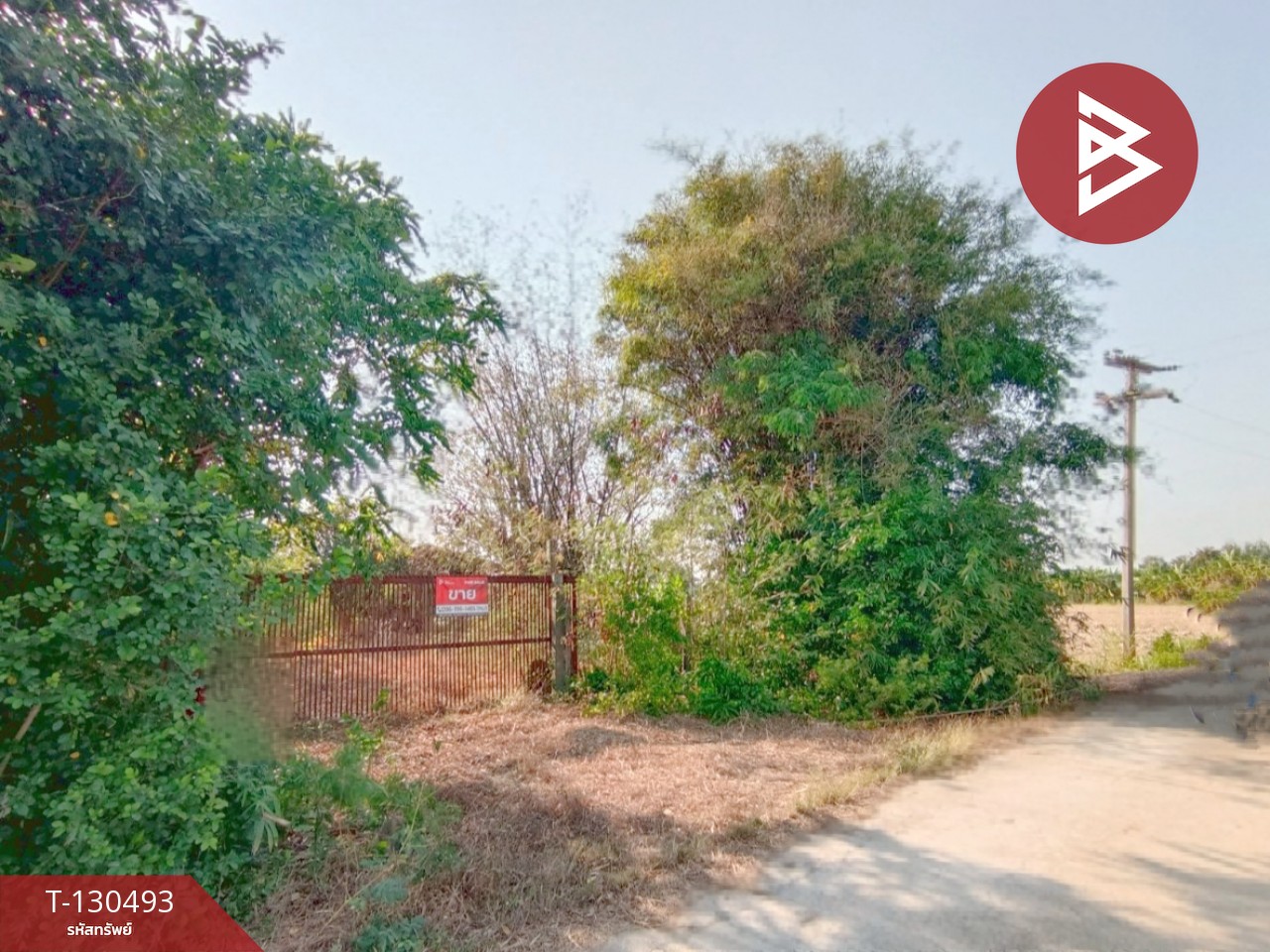 ขายที่ดินพร้อมสิ่งปลูกสร้าง เนื้อที่ 8 ไร่ 1 งาน 15 ตารางวา วัดบ้านปูน มหาราช พระนครศรีอยุธยา 1