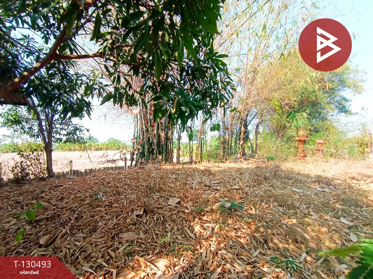 ขายที่ดินพร้อมสิ่งปลูกสร้าง เนื้อที่ 8 ไร่ 1 งาน 15 ตารางวา วัดบ้านปูน มหาราช พระนครศรีอยุธยา 11