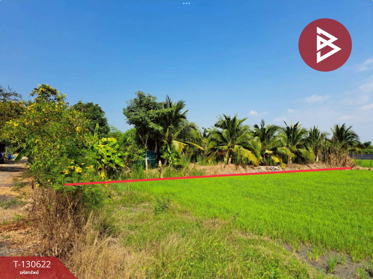 ขายที่ดิน เนื้อที่ 1 งาน ถนนเลียบคลองโยง พุทธมณฑล นครปฐม 4