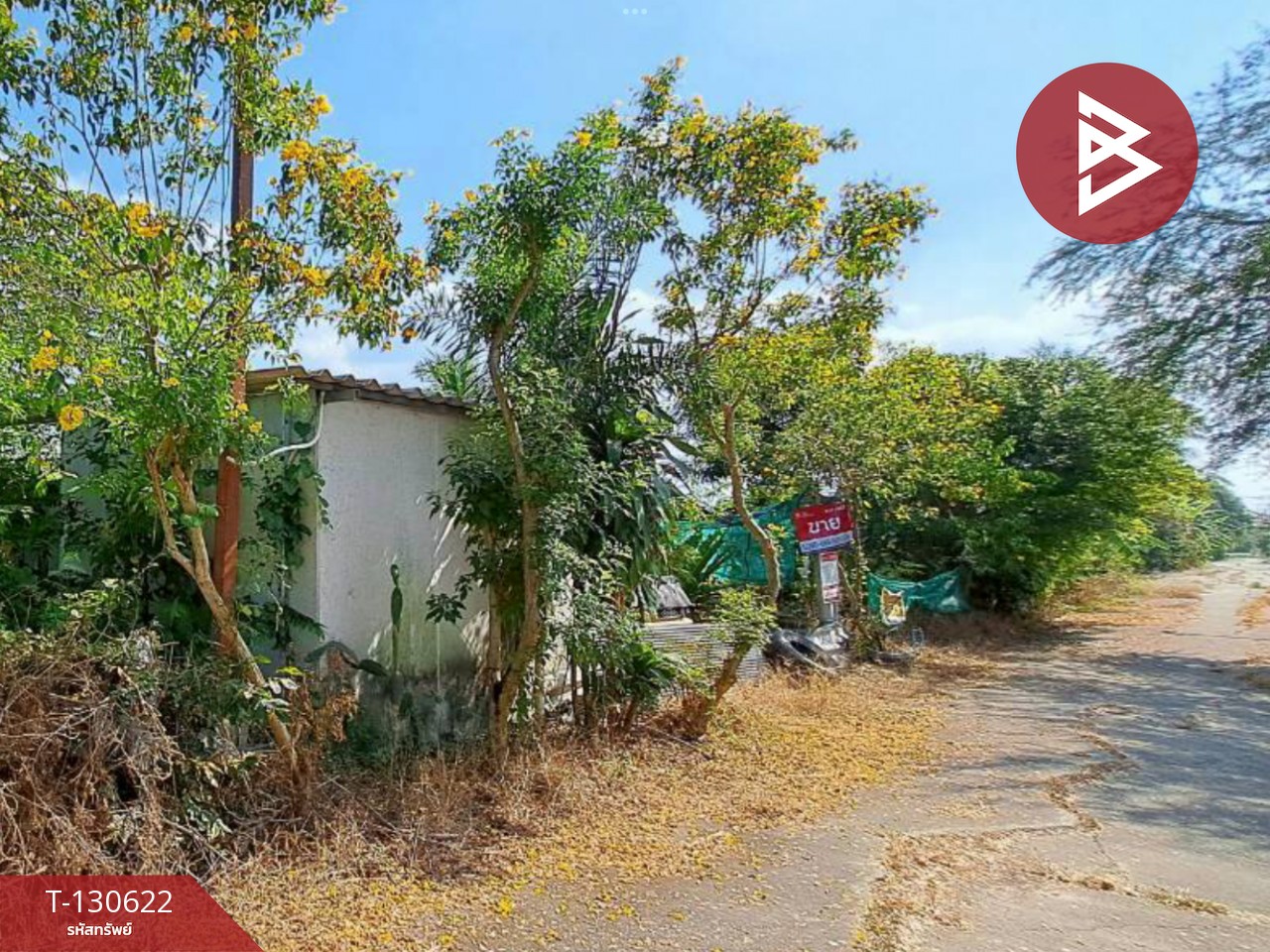 ขายที่ดิน เนื้อที่ 1 งาน ถนนเลียบคลองโยง พุทธมณฑล นครปฐม 6