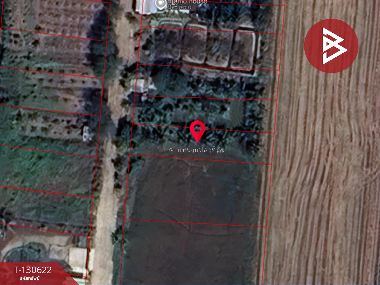 ขายที่ดิน เนื้อที่ 1 งาน ถนนเลียบคลองโยง พุทธมณฑล นครปฐม 8