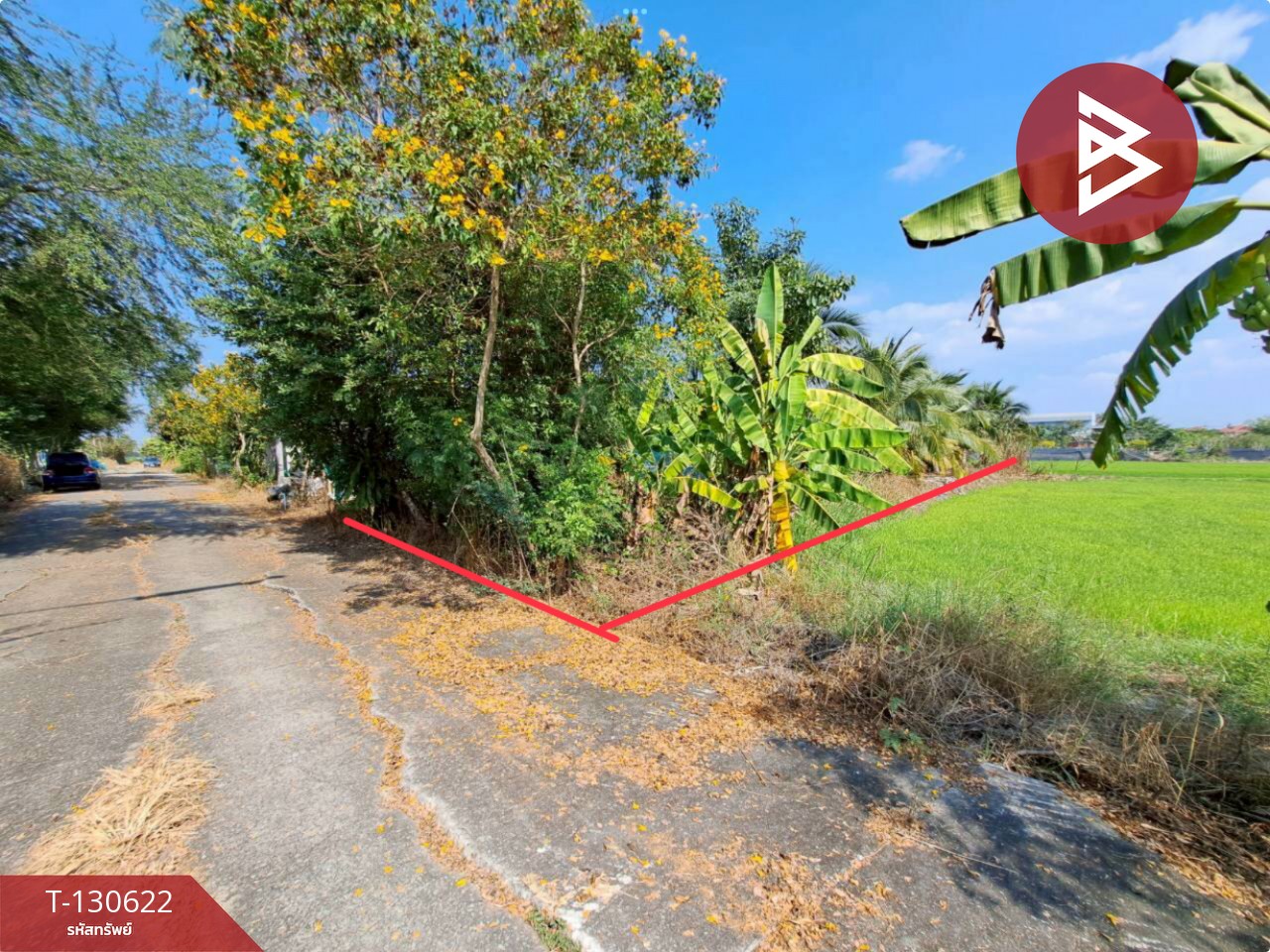 ขายที่ดิน เนื้อที่ 1 งาน ถนนเลียบคลองโยง พุทธมณฑล นครปฐม 2