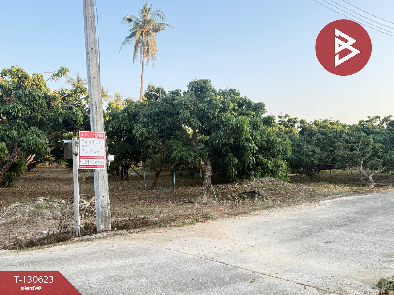 ขายที่ดินสวนผลไม้ เนื้อที่ 367 ตารางวา สารภี เชียงใหม่ 1