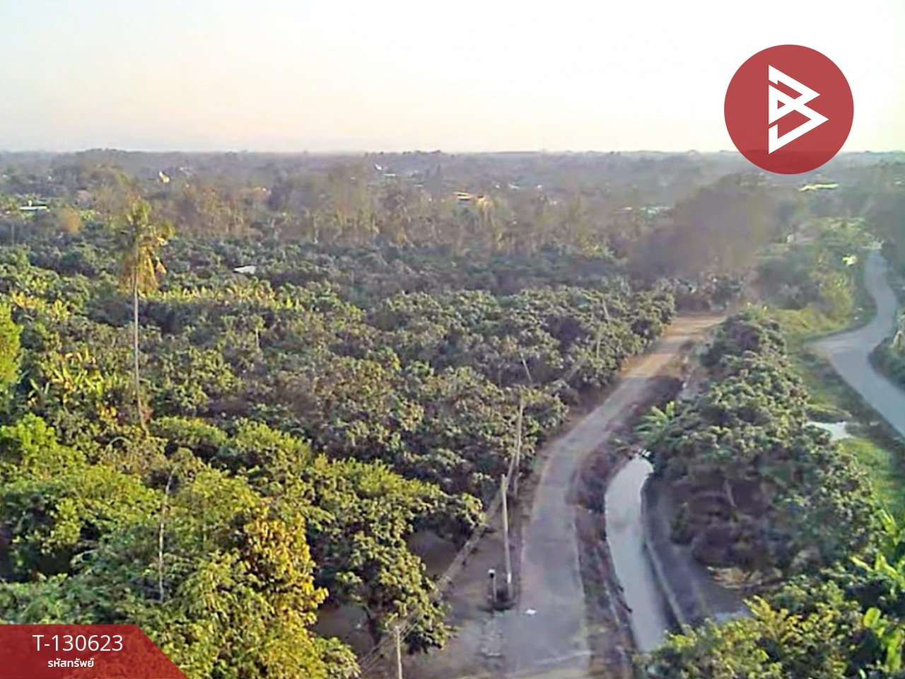 ขายที่ดินสวนผลไม้ เนื้อที่ 367 ตารางวา สารภี เชียงใหม่ 13