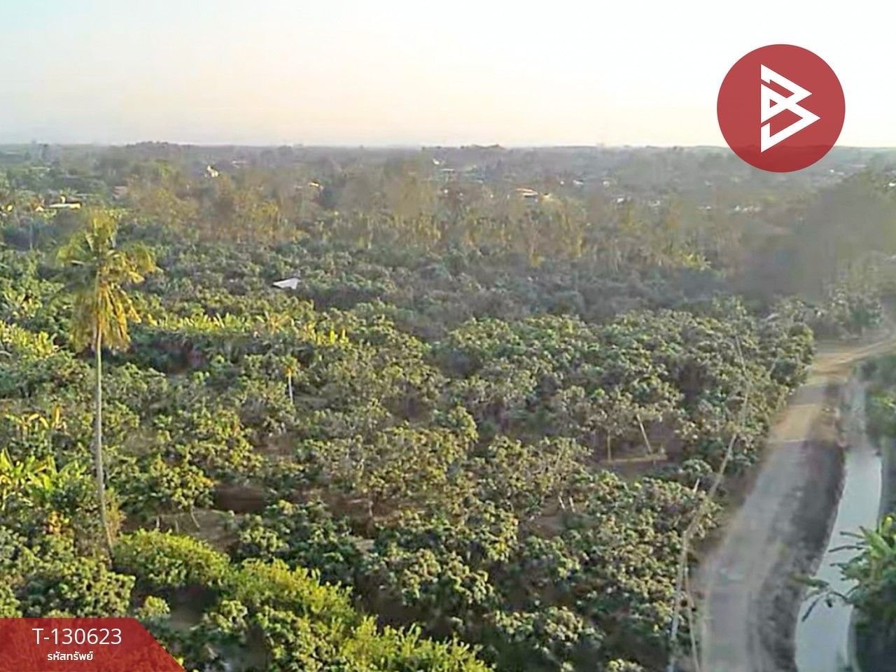 ขายที่ดินสวนผลไม้ เนื้อที่ 367 ตารางวา สารภี เชียงใหม่ 14