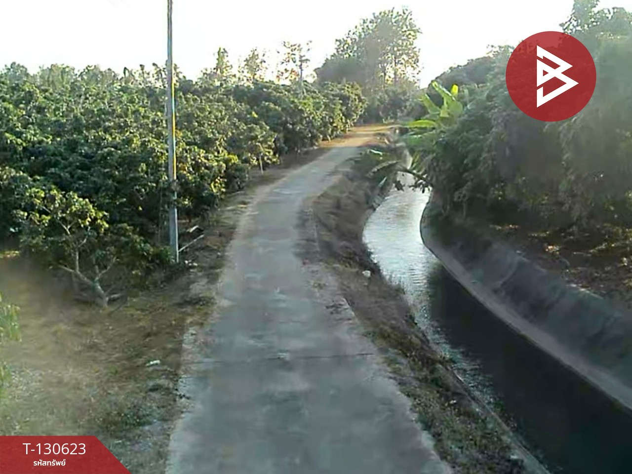 ขายที่ดินสวนผลไม้ เนื้อที่ 367 ตารางวา สารภี เชียงใหม่ 15