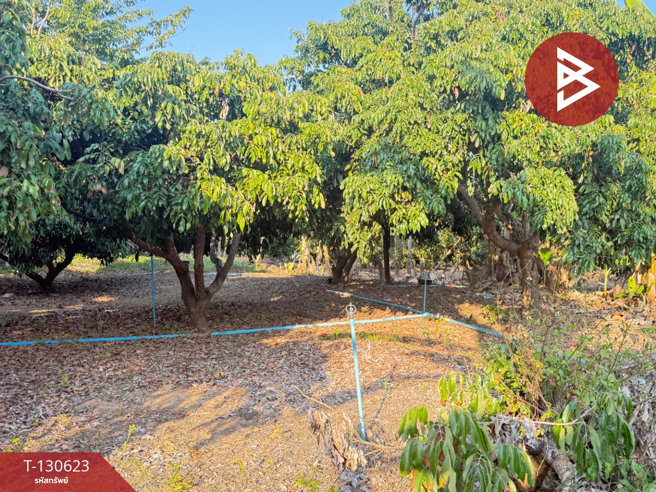 ขายที่ดินสวนผลไม้ เนื้อที่ 367 ตารางวา สารภี เชียงใหม่ 8