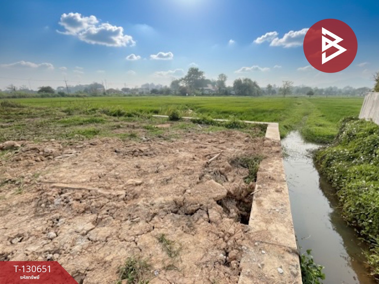 ขายที่ดิน เนื้อที่ 2 งาน 25.3 ตร.วา นางแล เชียงราย 3