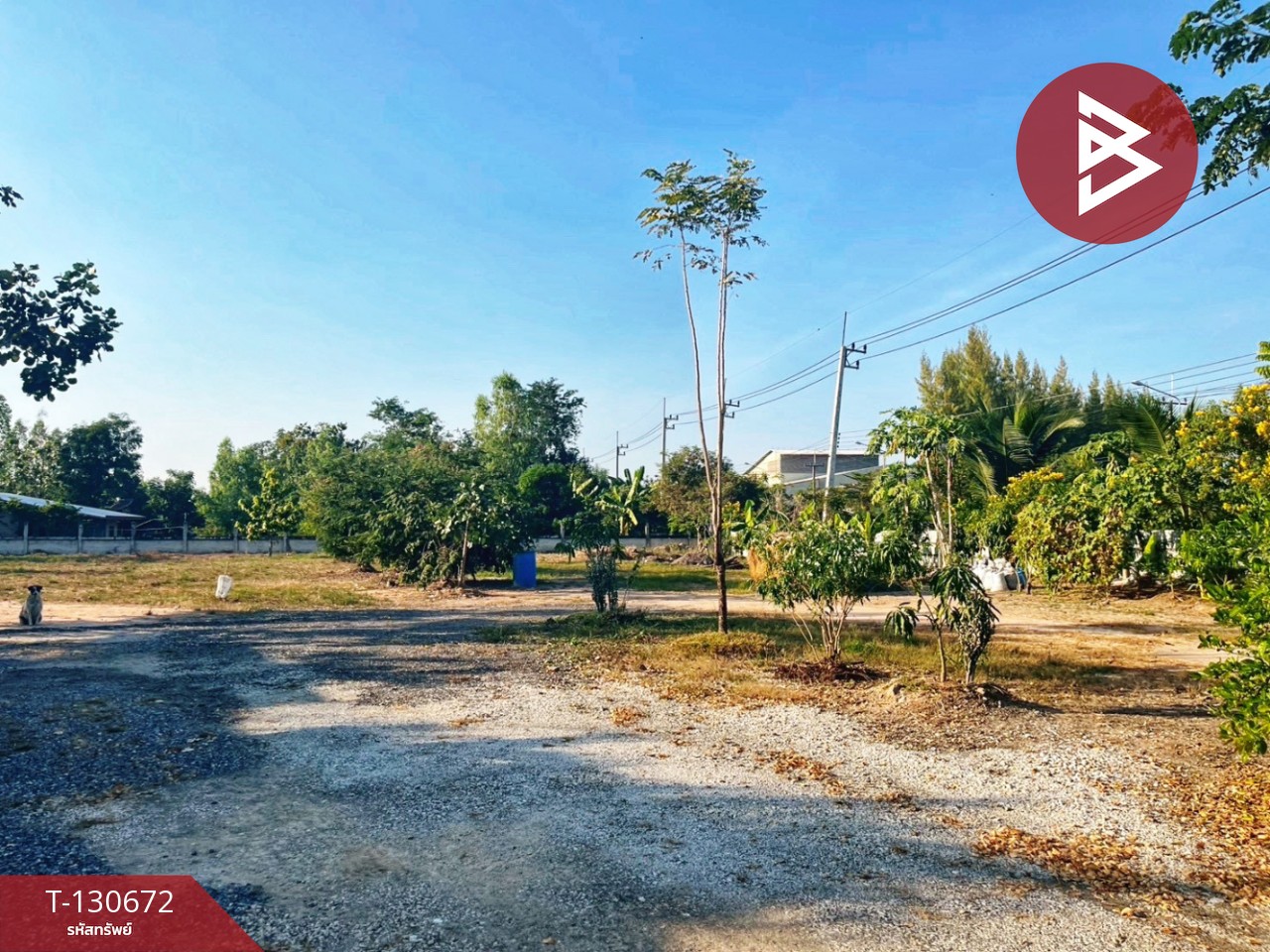 ขายรีสอร์ท เนื้อที่ 2 ไร่ อ.วัดสิงห์ จ.ชัยนาท ทำเลดี ติดถนน 5