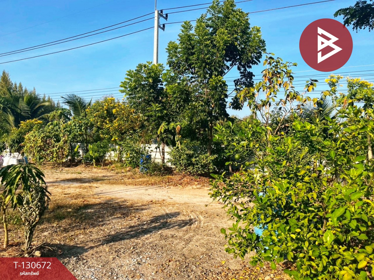 ขายรีสอร์ท เนื้อที่ 2 ไร่ อ.วัดสิงห์ จ.ชัยนาท ทำเลดี ติดถนน 11