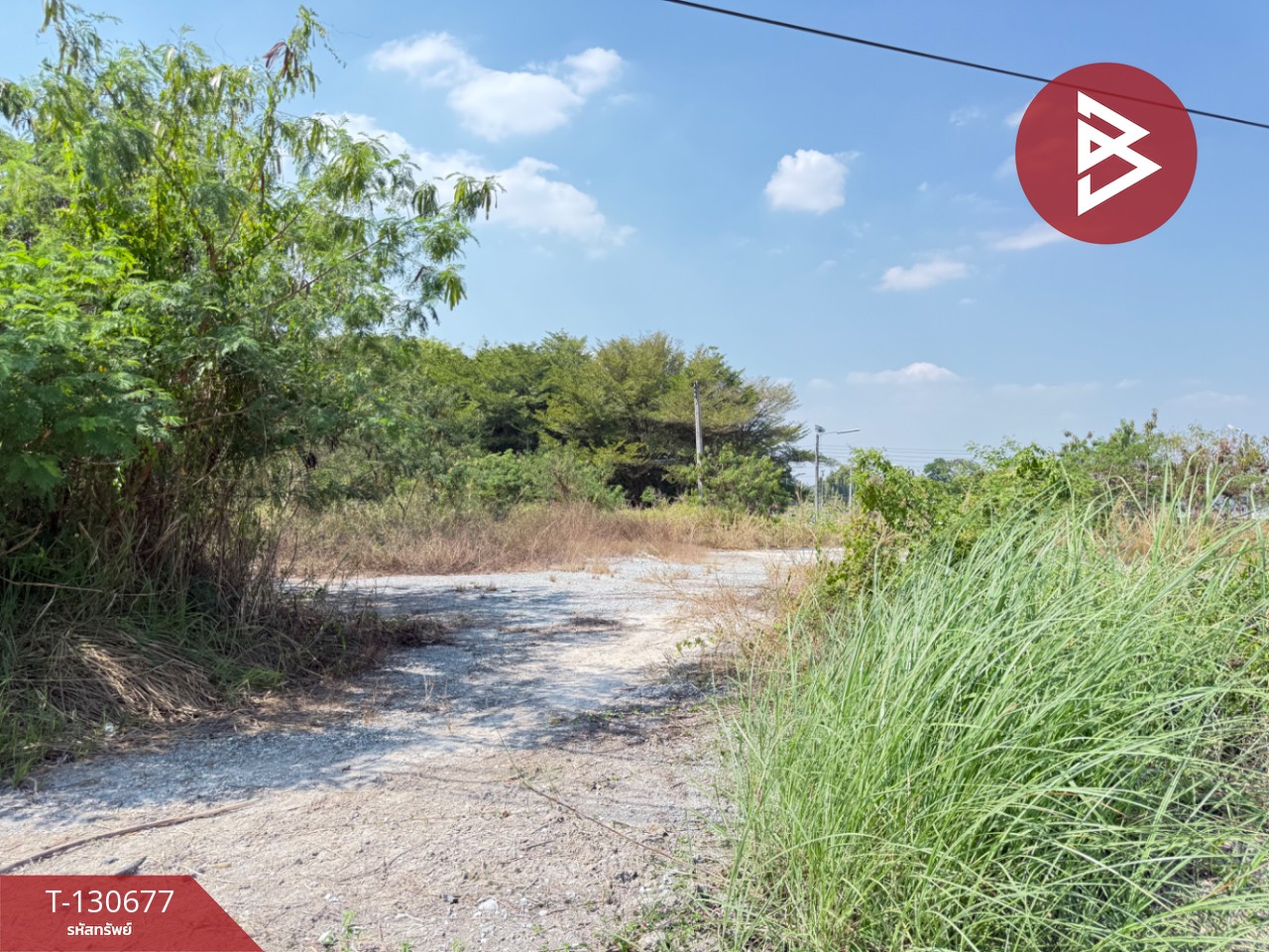 ให้เช่า ที่ดิน เนื้อที่ 3 ไร่ 3 งาน 86.5 ตร.วา เนินพระ ระยอง 9