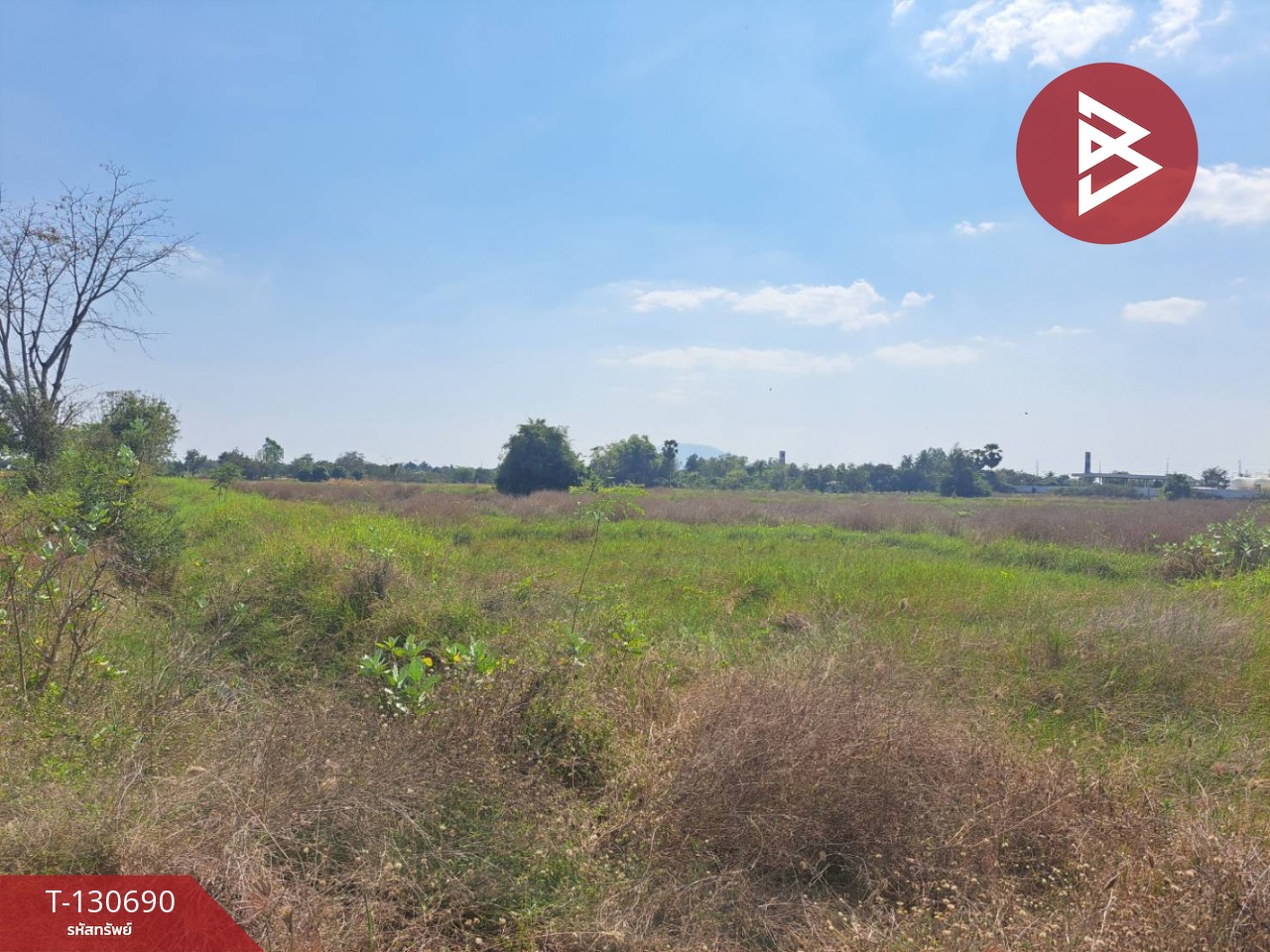 ขายที่ดินแปลงใหญ่ เนื้อที่ 33 ไร่ 2 งาน 79 ตารางวา หนองกระโดน นครสวรรค์ 6