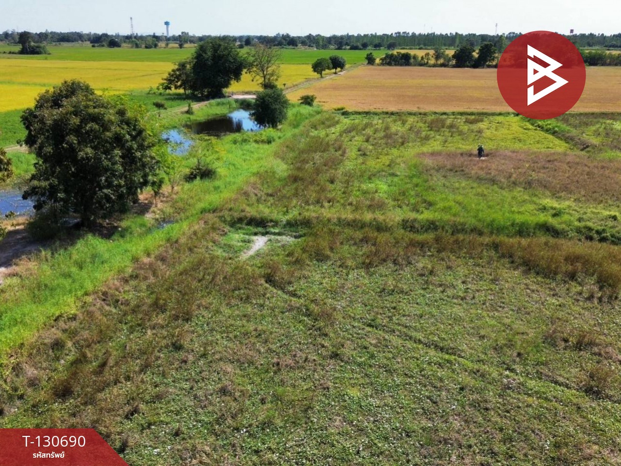 ขายที่ดินแปลงใหญ่ เนื้อที่ 33 ไร่ 2 งาน 79 ตารางวา หนองกระโดน นครสวรรค์ 14