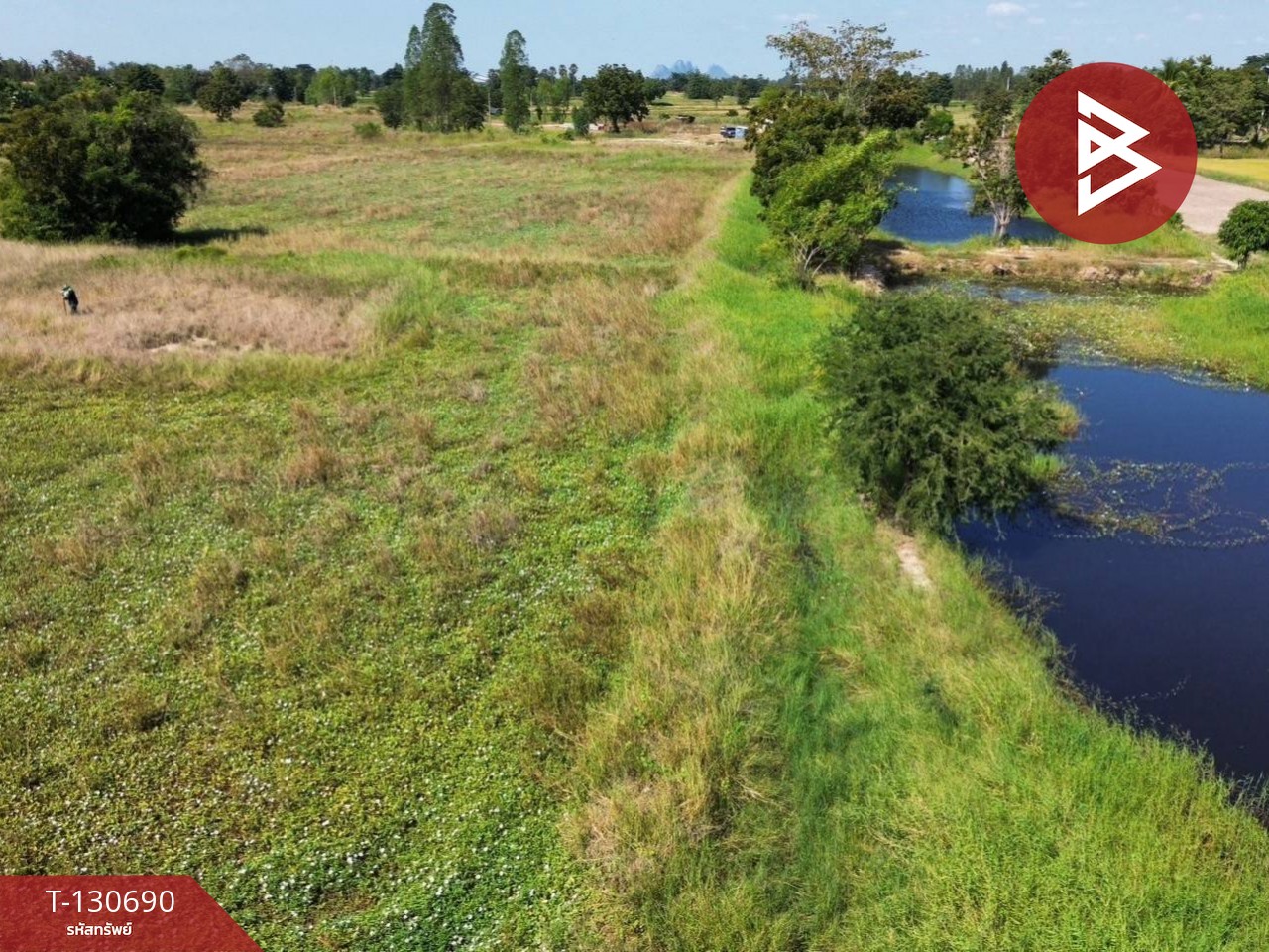 ขายที่ดินแปลงใหญ่ เนื้อที่ 33 ไร่ 2 งาน 79 ตารางวา หนองกระโดน นครสวรรค์ 13