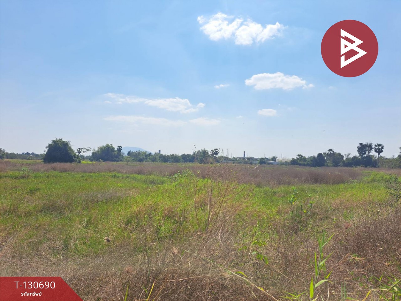 ขายที่ดินแปลงใหญ่ เนื้อที่ 33 ไร่ 2 งาน 79 ตารางวา หนองกระโดน นครสวรรค์ 8