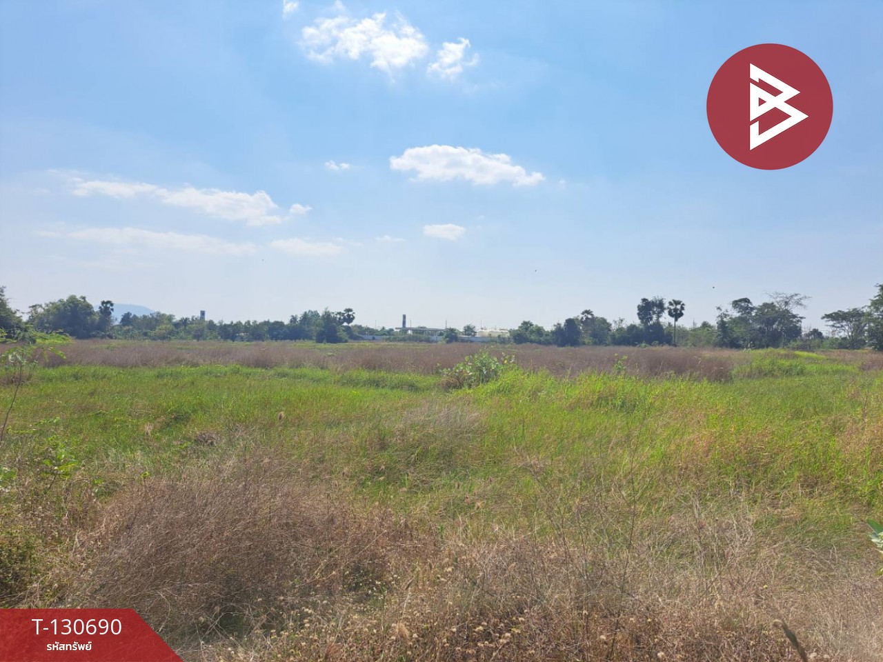 ขายที่ดินแปลงใหญ่ เนื้อที่ 33 ไร่ 2 งาน 79 ตารางวา หนองกระโดน นครสวรรค์ 9