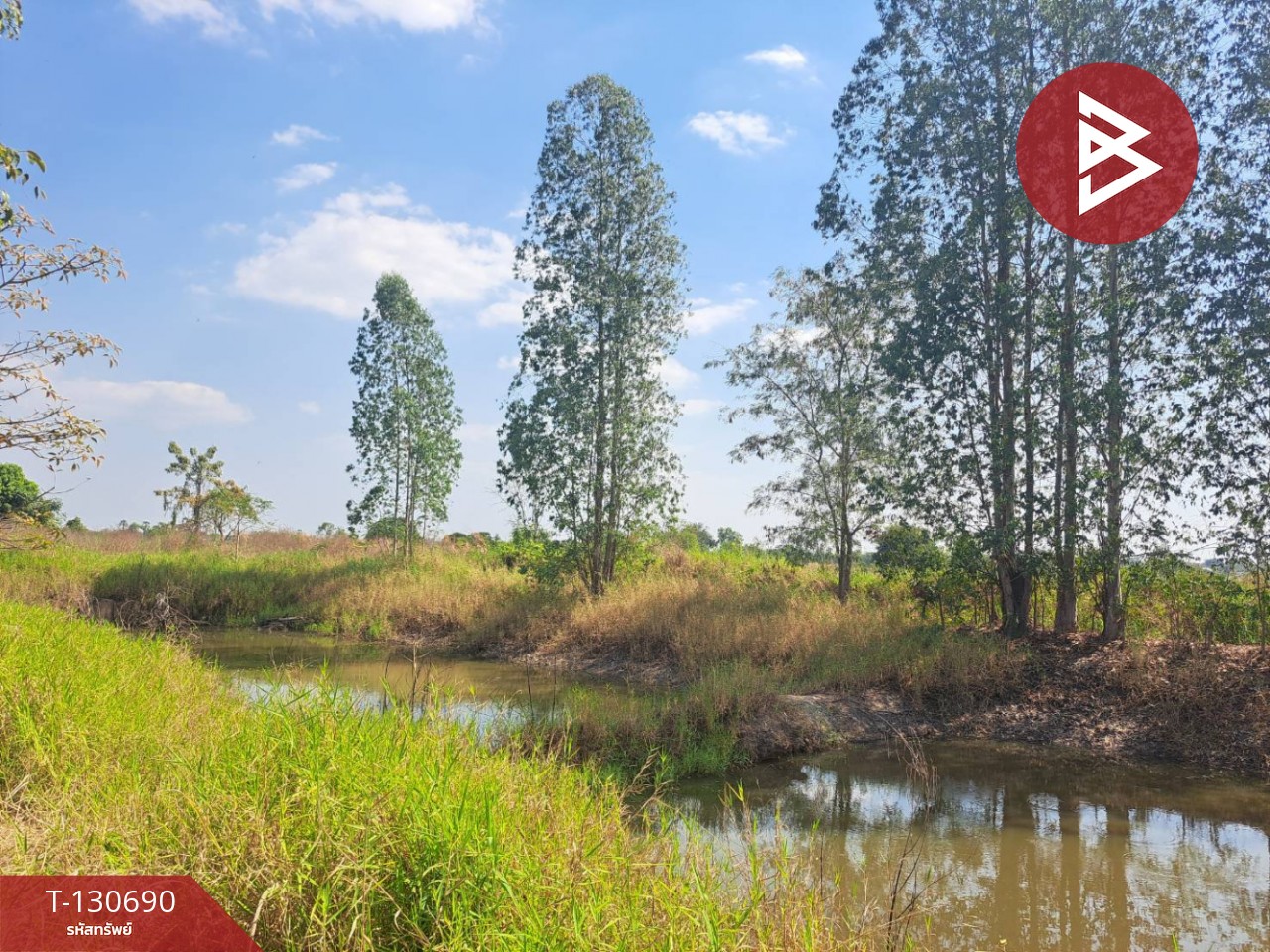 ขายที่ดินแปลงใหญ่ เนื้อที่ 33 ไร่ 2 งาน 79 ตารางวา หนองกระโดน นครสวรรค์ 4