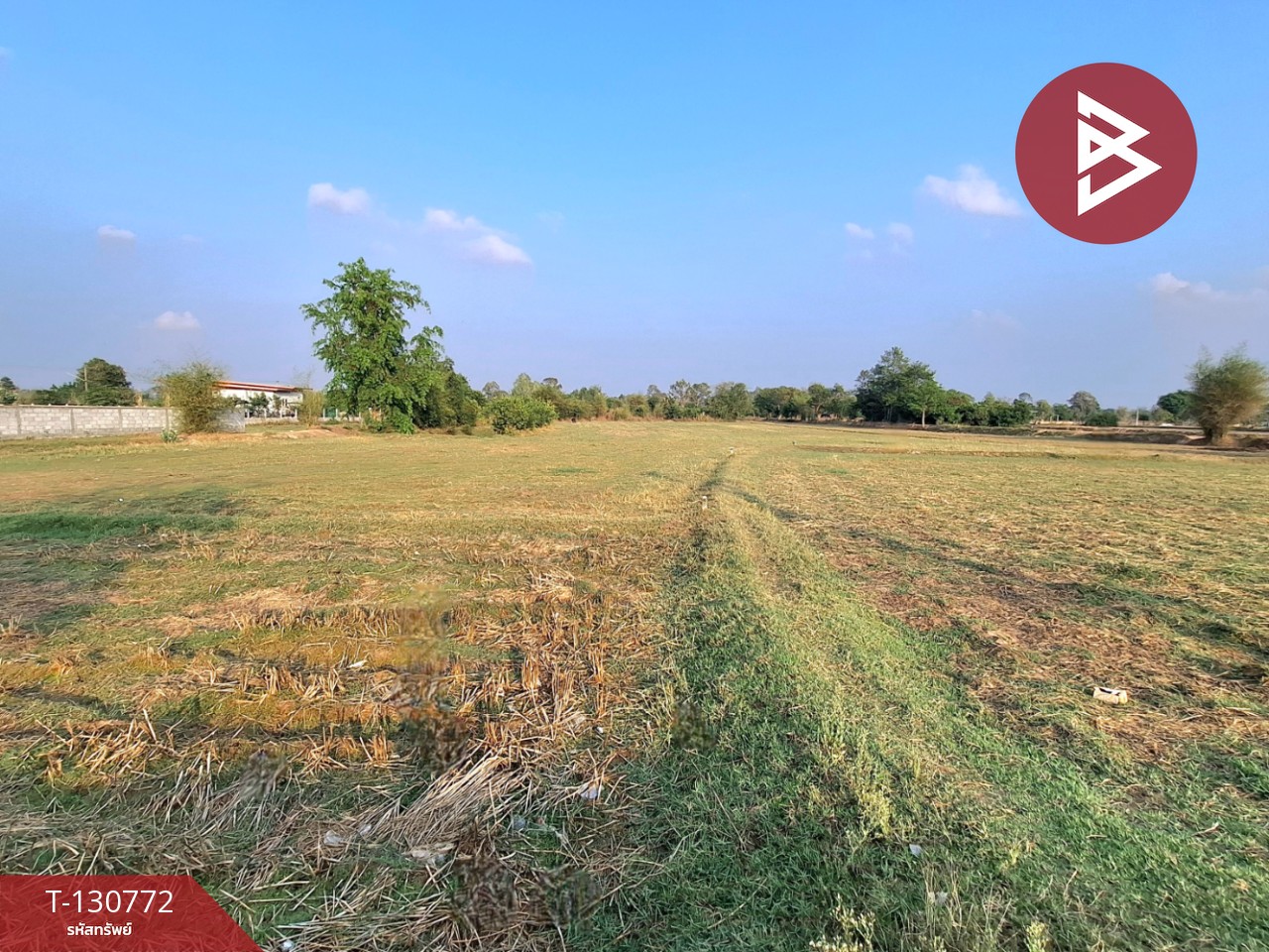 ขายที่ดิน เนื้อที่ 11 ไร่ 2 งาน 77.5  ตร.วา โนนรัง ร้อยเอ็ด 5