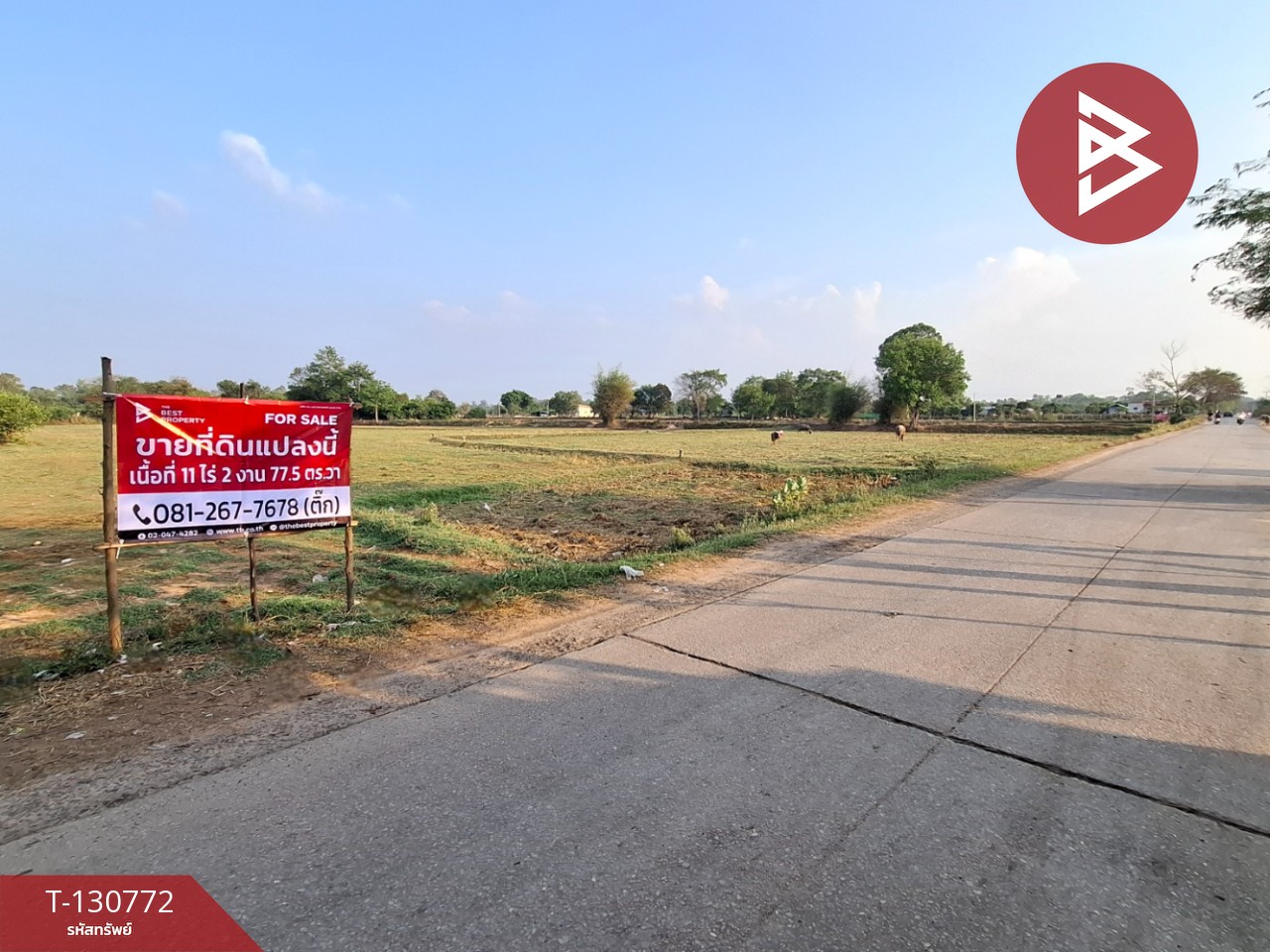 ขายที่ดิน เนื้อที่ 11 ไร่ 2 งาน 77.5  ตร.วา โนนรัง ร้อยเอ็ด 2