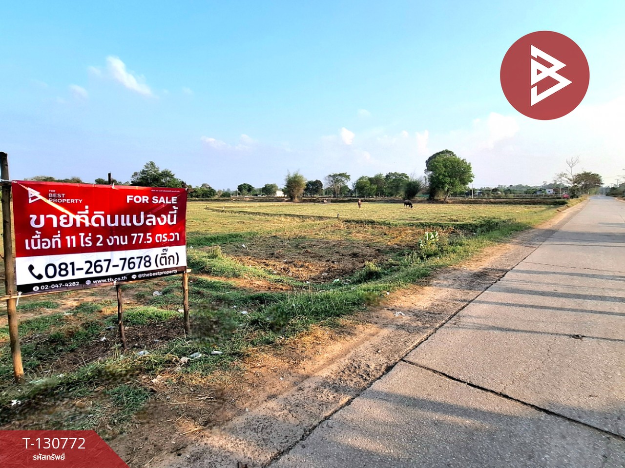 ขายที่ดิน เนื้อที่ 11 ไร่ 2 งาน 77.5  ตร.วา โนนรัง ร้อยเอ็ด 4