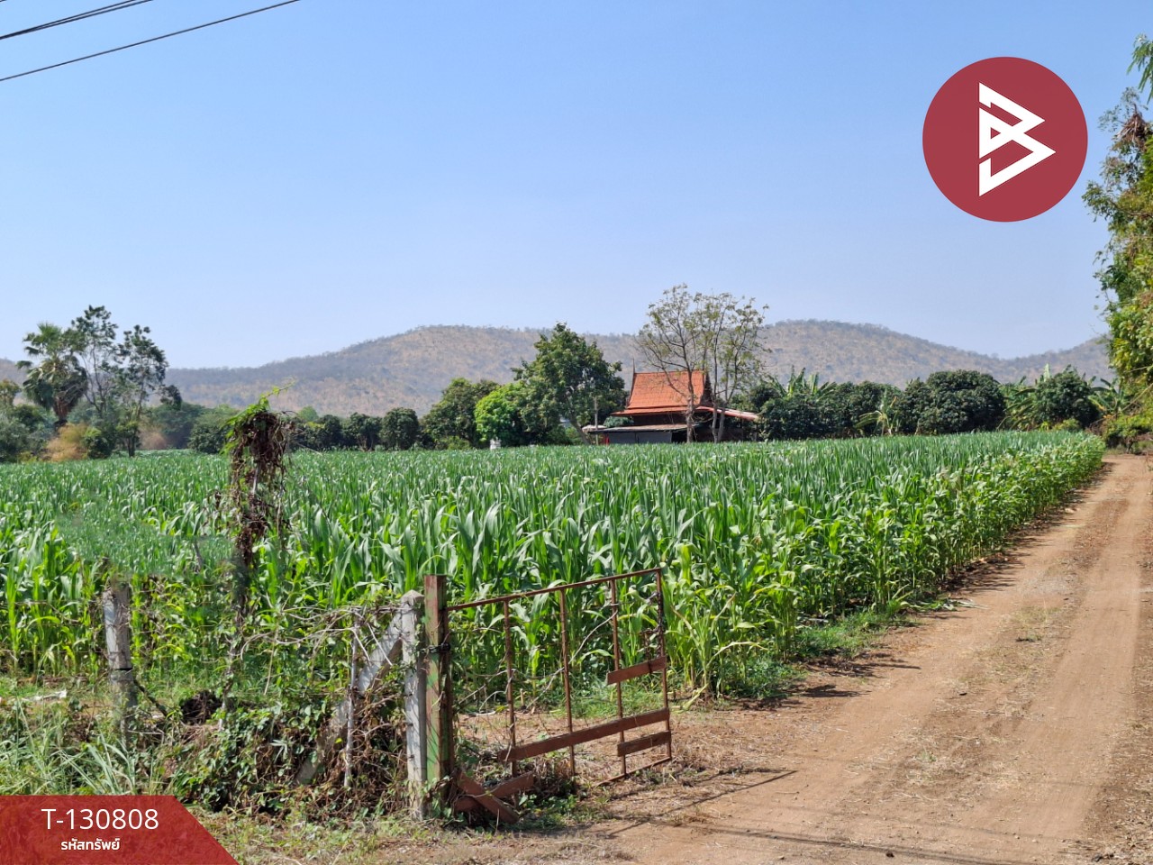 ขายที่ดินพร้อมบ้านไม้สัก เนื้อที่ 19 ไร่ 59 ตารางวา อู่ทอง สุพรรณบุรี 2