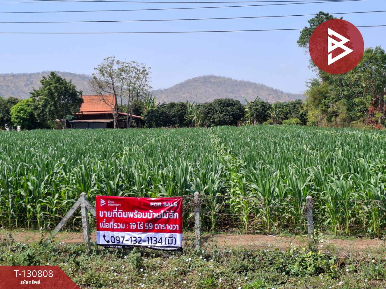 ขายที่ดินพร้อมบ้านไม้สัก เนื้อที่ 19 ไร่ 59 ตารางวา อู่ทอง สุพรรณบุรี 1