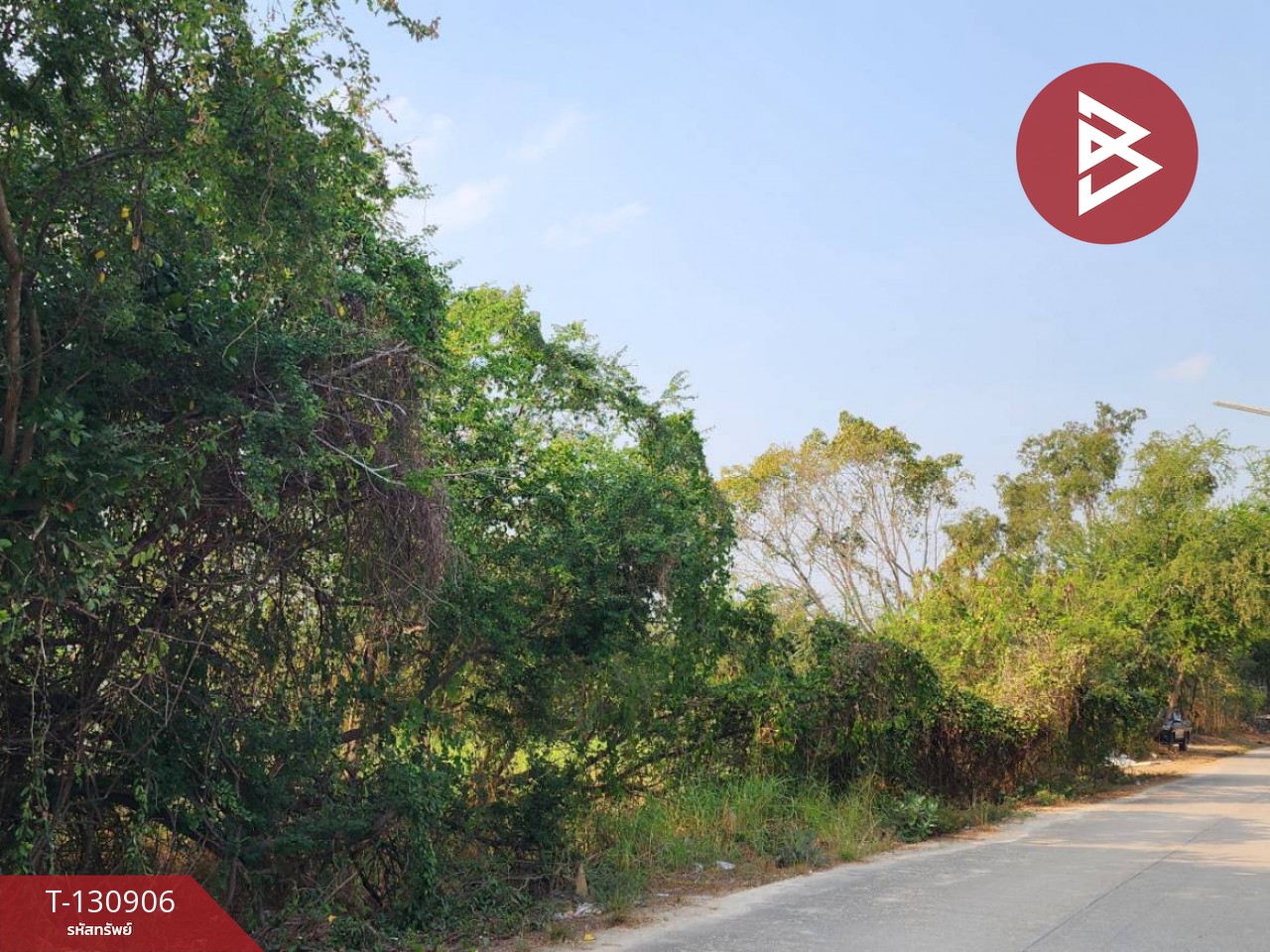 ขายที่ดิน เนื้อที่ 10 ไร่ 87 ตร.วา หนองกระโดน นครสวรรค์ 9