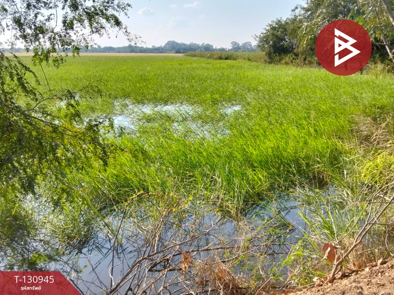 ขายที่ดิน เนื้อที่ 5 ไร่ 28 ตารางวา ต.บ้านขวาง อ.มหาราช พระนครศรีอยุธยา 6