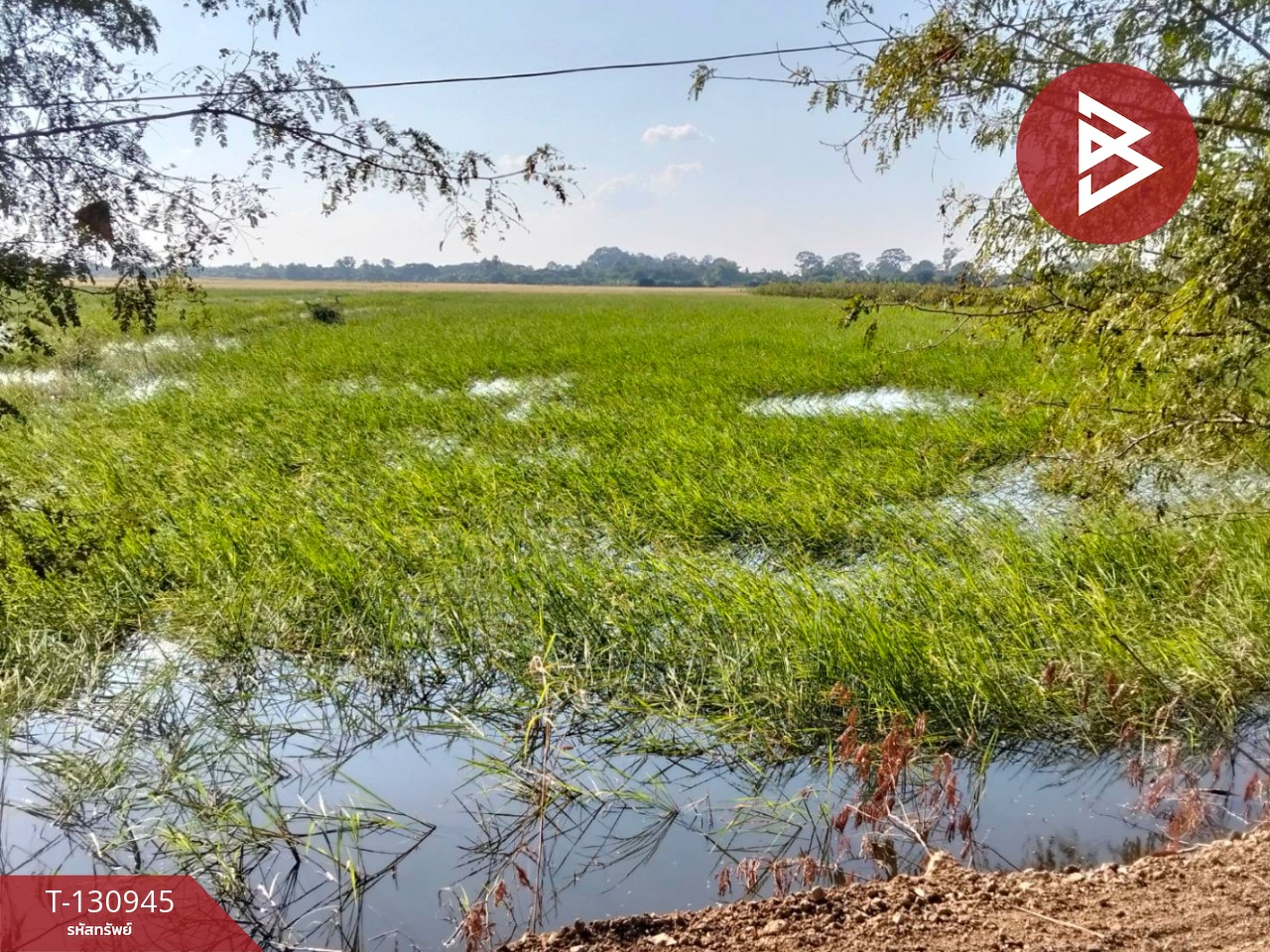 ขายที่ดิน เนื้อที่ 5 ไร่ 28 ตารางวา ต.บ้านขวาง อ.มหาราช พระนครศรีอยุธยา 1